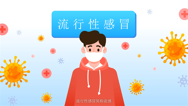 mg动画