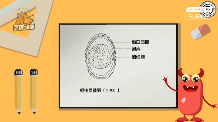 创意mg动画图形设计