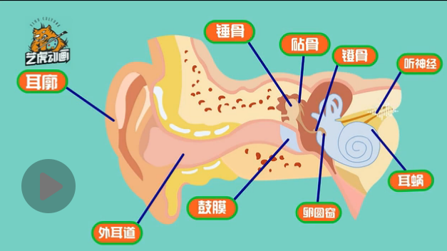 二维课件动画